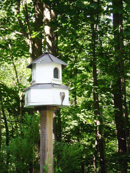 Birdhouses can be built for specific trees and areas.