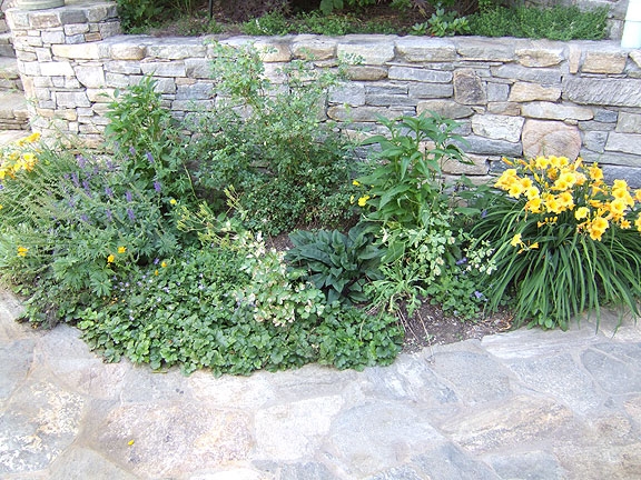 Small planting areas help soften stonework.