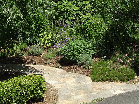 Plantings on both sides of an entrance way give the feeling of security.