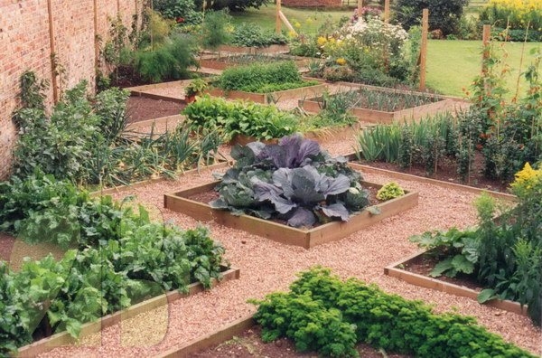 Fruit/vegetable gardens create beauty all year round, using paths, stone etc.