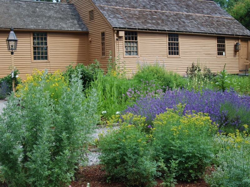 Thankful Arnold House and Museum