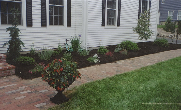 Different ideas for front entrances