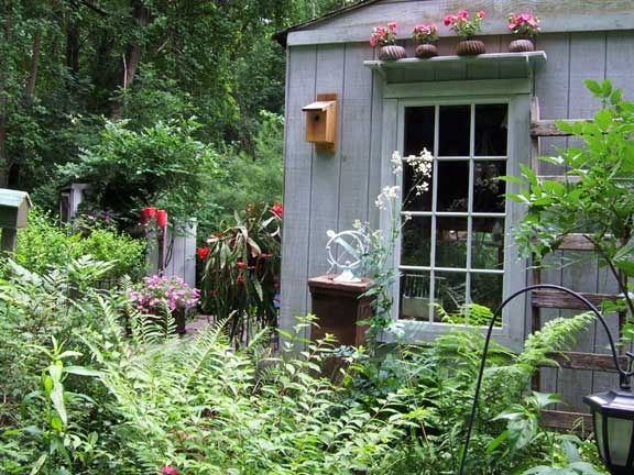 Shed