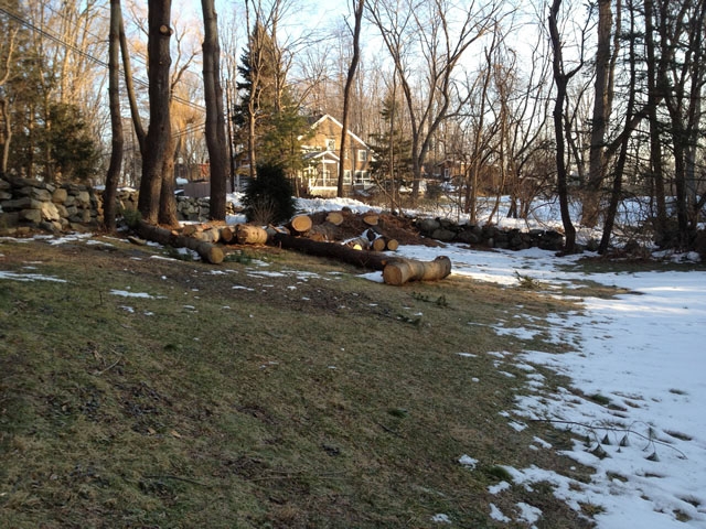 Rock Garden Before