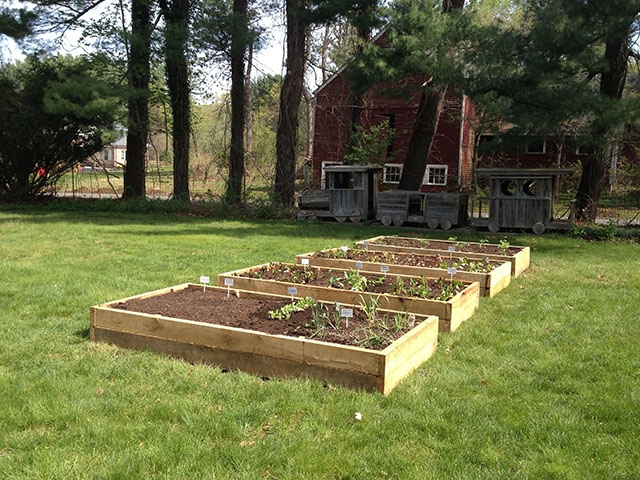 Raised Beds