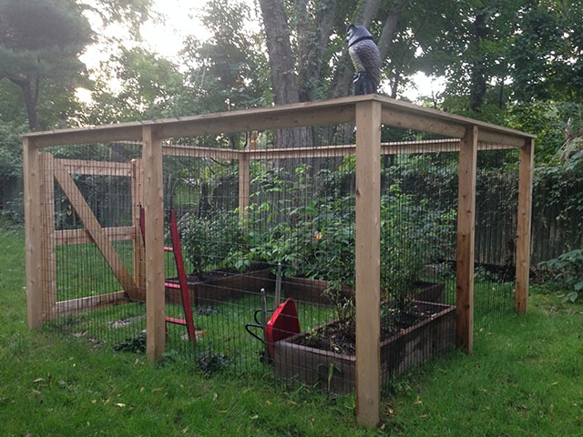 Raised Beds