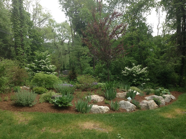Rock Garden After