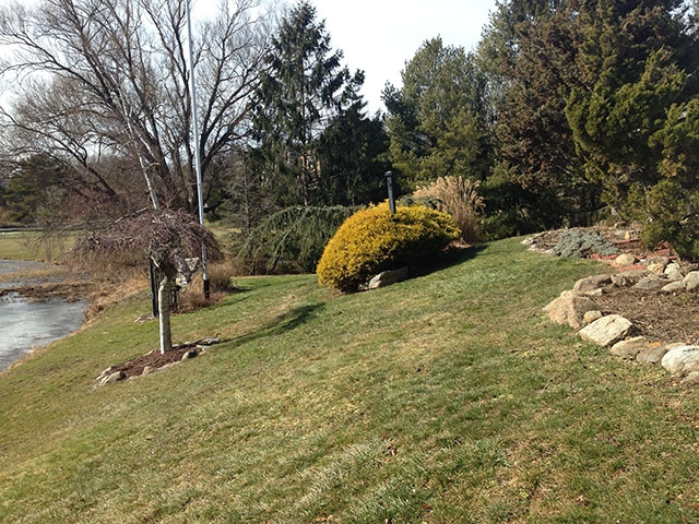 Retaining Wall Before