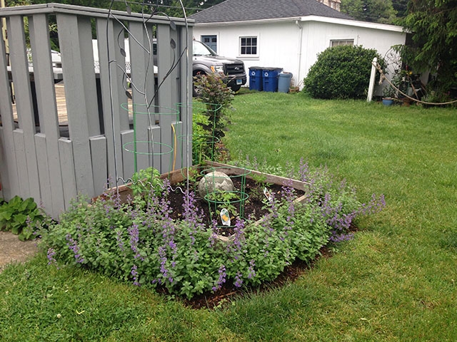 Raised Beds